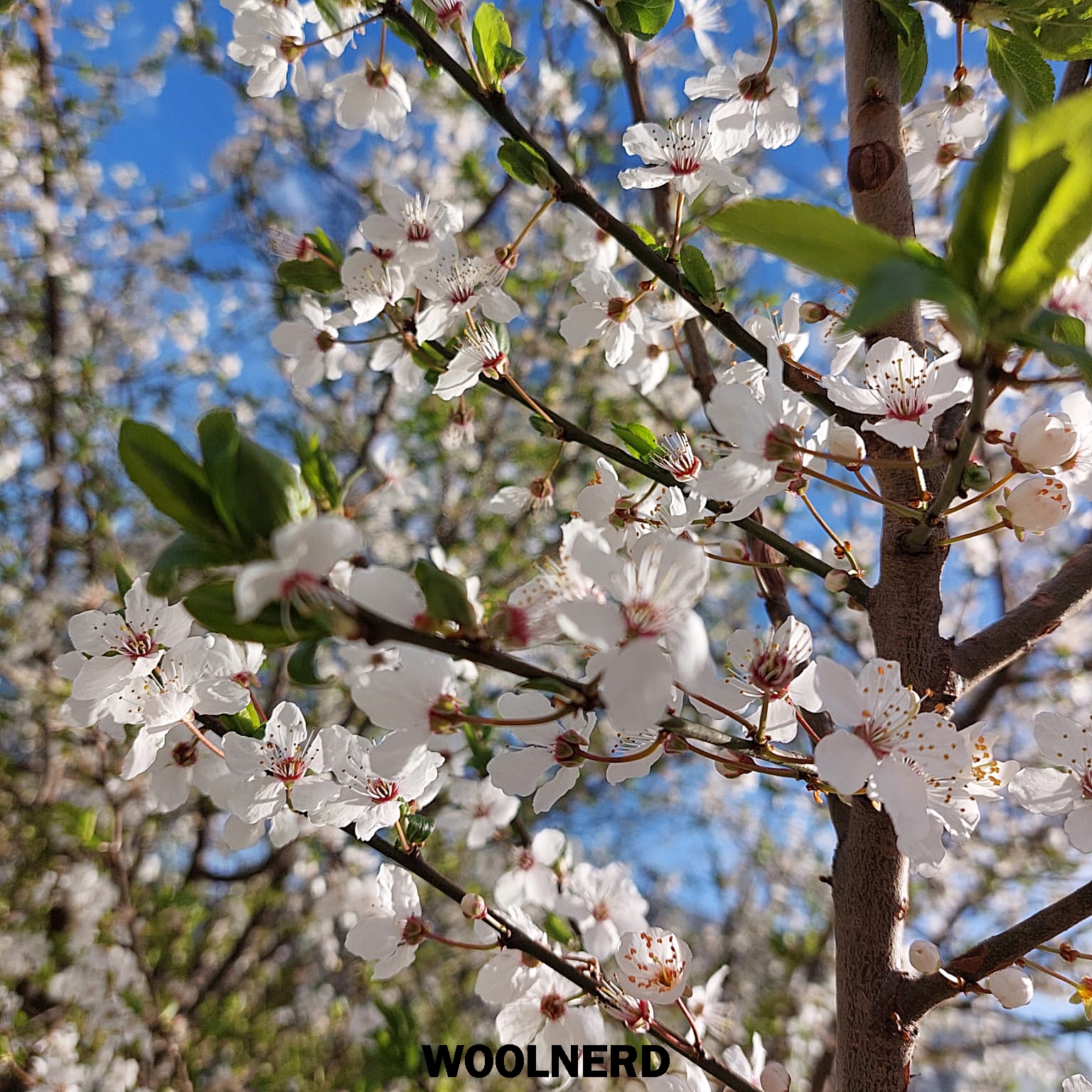 Schönen Sonntag!